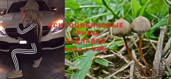 прущая мука Арсеньев