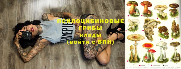 мдпв Россошь