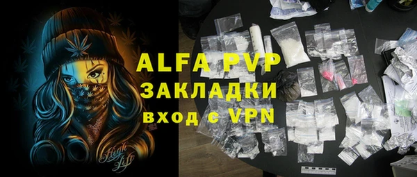 стаф Аркадак
