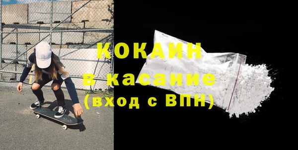 стаф Аркадак