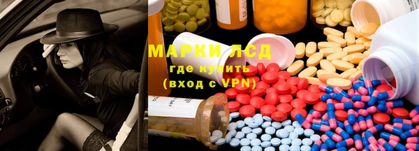 стаф Аркадак