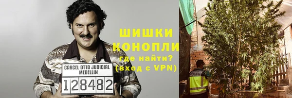 стаф Аркадак