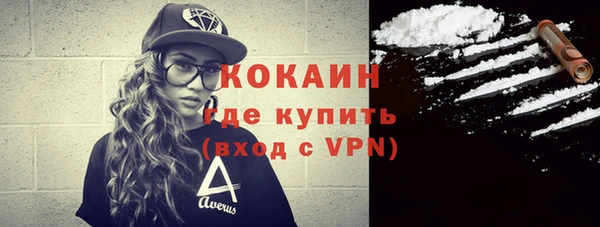 стаф Аркадак