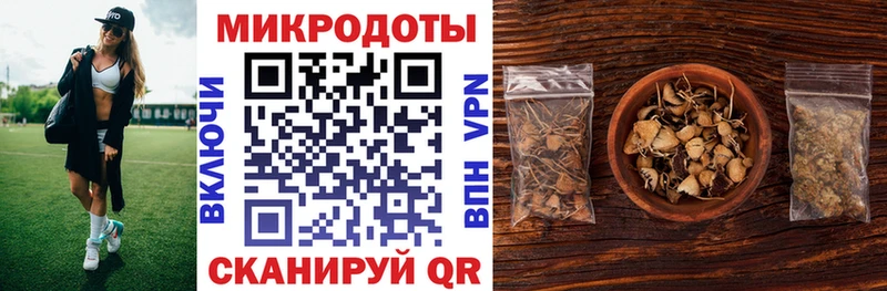 OMG маркетплейс  Североморск  Псилоцибиновые грибы Psilocybine cubensis  где можно купить  